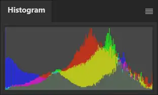 Photoshop Histogram Panel Tutorial