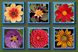 Contact Sheet Montage