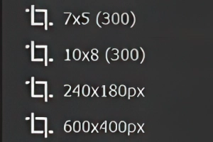 Create a Crop Preset