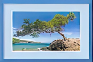 Create Realistic Frame & Mount