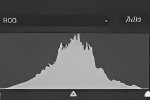 Histogram