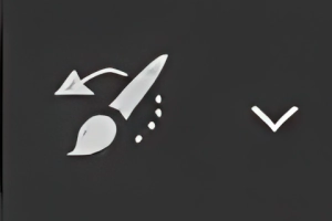 History Brush