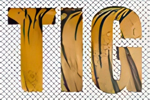 Horizontal Type Mask