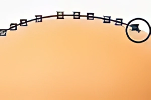 Magnetic Lasso