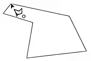 Polygonal Lasso