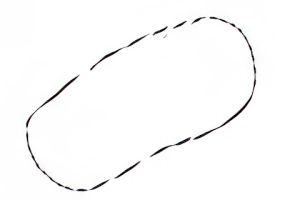 Lasso