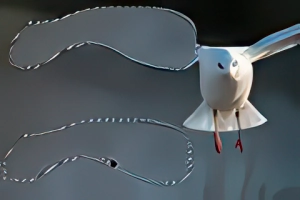 Patch
