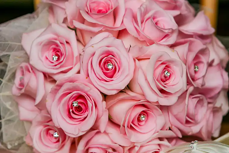 Wedding photography at Putteridgebury, Luton