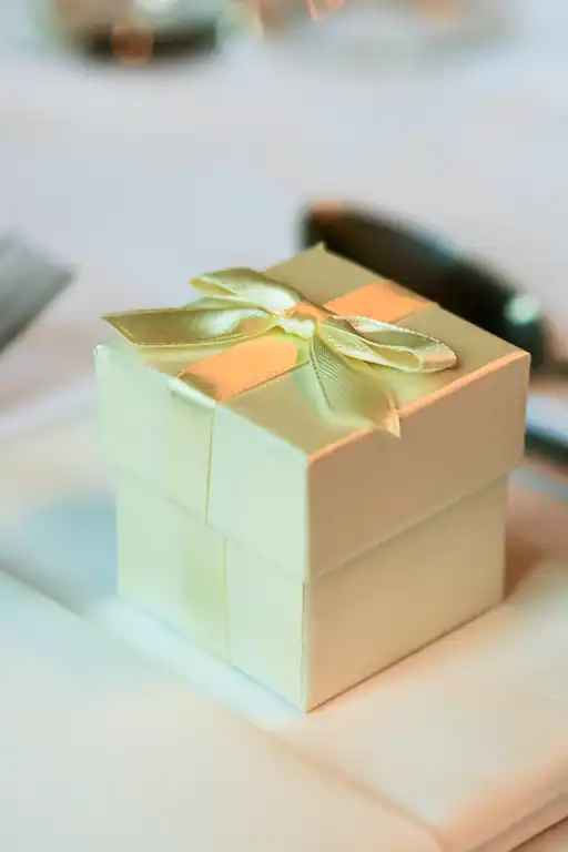 Wedding photography at Gosfield Hall, Halstead