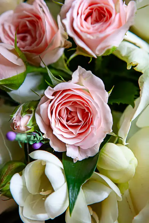 Wedding photography at Fanhams Hall, Ware