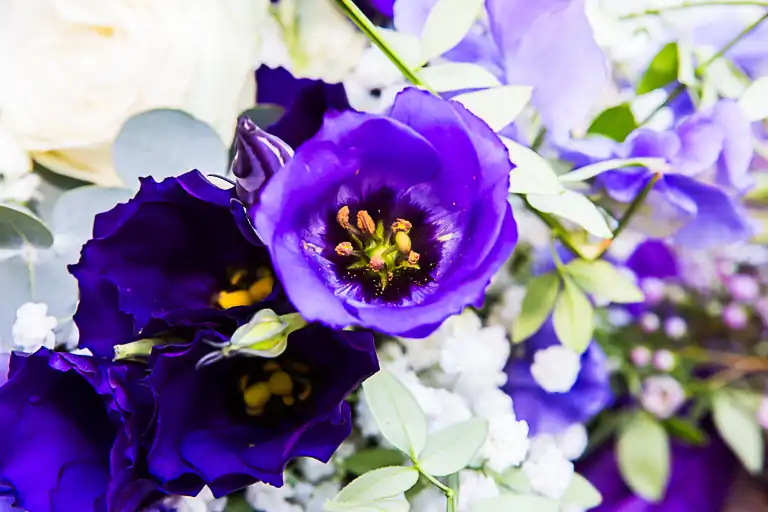 Wedding photography at Shenley Cricket Centre, Shenley