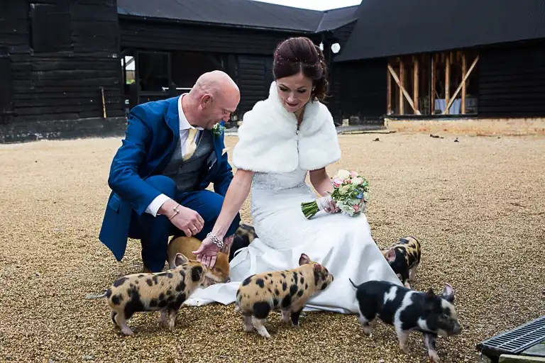 Wedding photography at South Farm, Royston