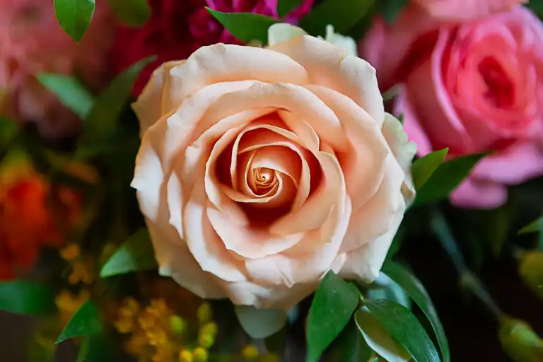 Wedding photography at Morden Hall, Wimbledon