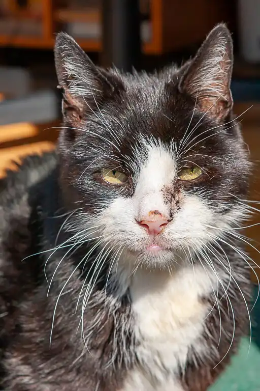 Wedding photography at Towcester Racecourse, Northamptonshire